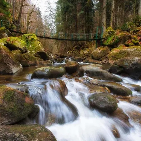 Rainer Mit Pool Und Sauna Freyung